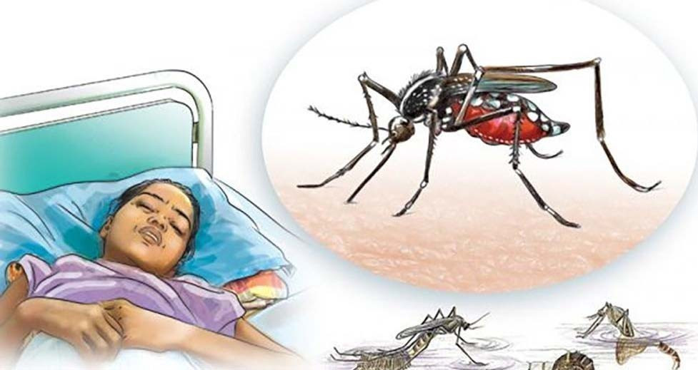 तनहुँमा एक जनामा जापानिज इन्सेफलाइटिस सङ्क्रमण पुष्टि